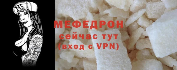 дживик Няндома