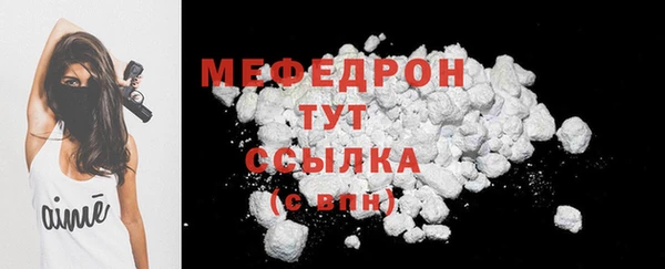 дживик Няндома