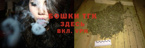 дживик Няндома