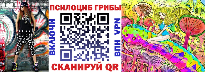 Псилоцибиновые грибы Psilocybe  Арск 